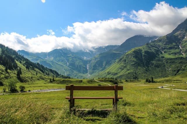 Bench on an alpine meadow in the Gastein valley